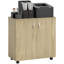 Vinsetto Lockable Office Storage Cabinet 2 Door-1886515571