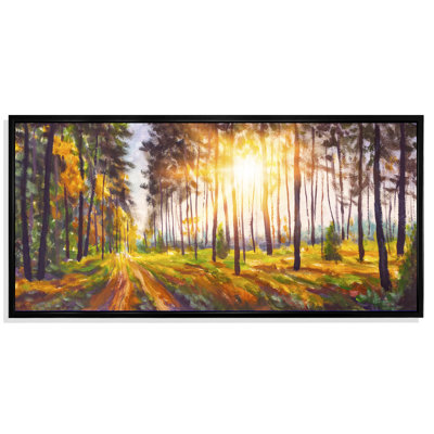 " Panorama Sunset In Forest "