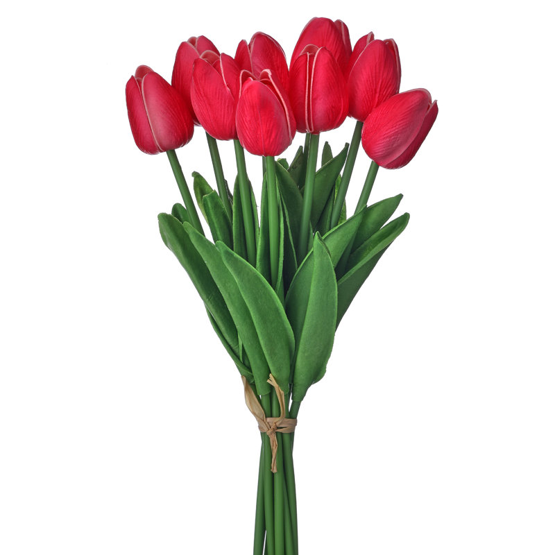 Ensemble de tulipes 13 po Eva, Rouge