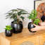 TYHPOT Ceramic Pot Planter-1035786449