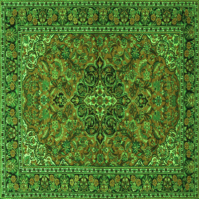 Washable Oriental Indoor Rug