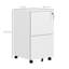 37cm Wide 2 -Drawer Steel File Cabinet-2052314800