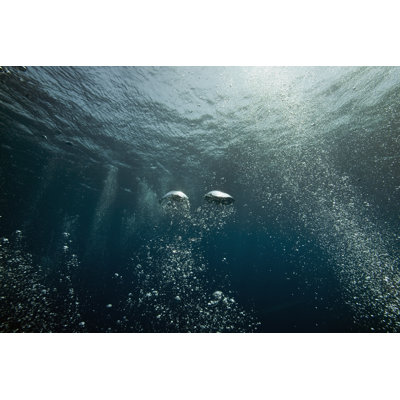 Océan - photographie sur toile tendue