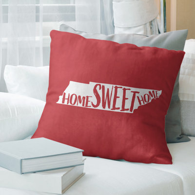 Coussin de minnesota