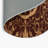 Imperial Vine Indoor And Outdoor Area Rug-2029724224