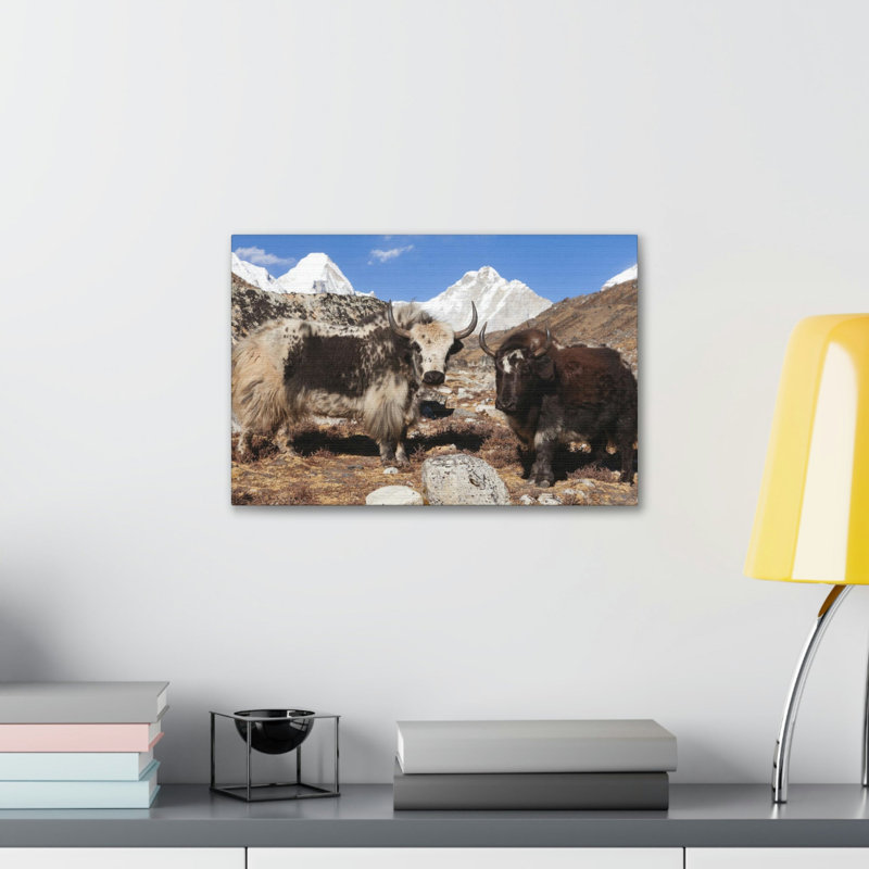 Drôle de Yak, art mural amusant, H 11 po x l 14 po