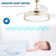 42" Retractable Ceiling fan with Light, 6-Speed Latest DC Motor Remote Control Ceiling Fan