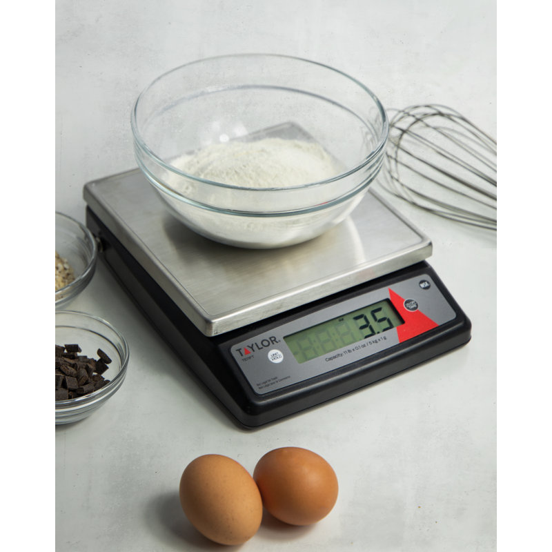 Taylor Digital Scale