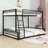 Metal Bunk Bed With Ladder-789194180-789194185