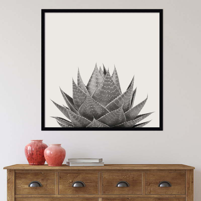 «Haze Aloe Succulent» par The Creative Bunch Studio - photographie avec cadre photo, H 33 po x l 33 po, Cadre noir