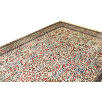 Hand Knotted Wool Area Rug in Ivory
