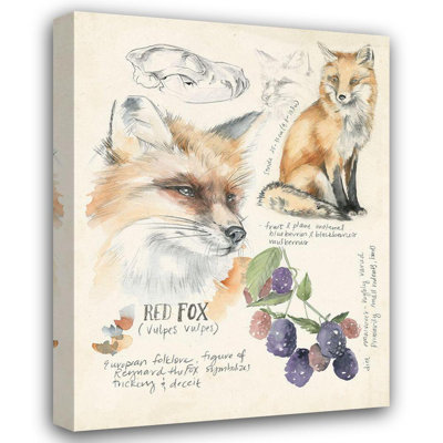 World Menagerie Parker, Jennifer Paxton Gallery Wrapped Canvas Art Titled: Wildlife Journals III