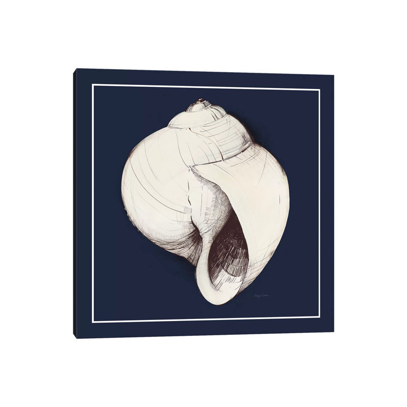 Coastal Shell I With Border Navy, 30.48cm H x 30.48cm W x 1.91cm D