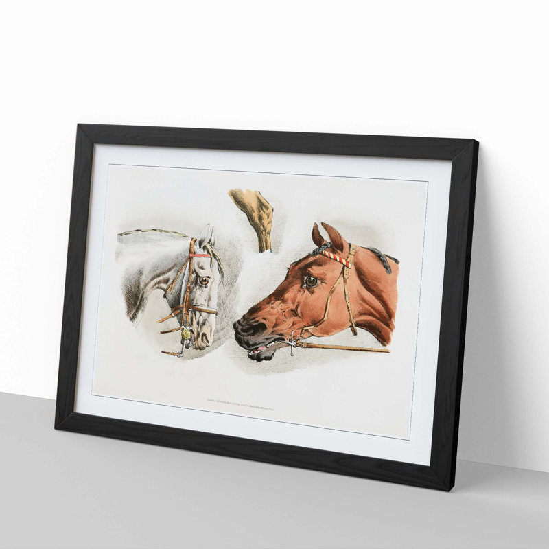 Illustrations of Horses by Henry Alken - Picture Frame Painting Print, 36cm H x 48cm W x 2cm D, Black Framed
