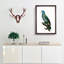 Saint Lucia Smazon Parrot by F. Levaillant - Picture Frame Painting Print-55613218-55613219