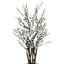White Cherry Blossom Tree in Tan Pot-1849265526