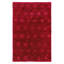 Floral Area Rug in Red