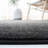 Diez Machine Made Power Loom Polypropylene Area Rug in Black-397968165