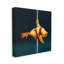 Az-011 - Pole Dancing Chick par Lucia Heffernan-93959637