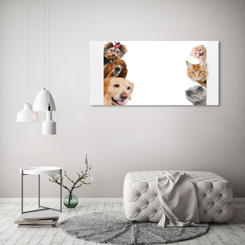Dogs And Cats - Wrapped Canvas Print