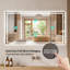 Miroir de salle de bain 48 po x 24 po DEL
