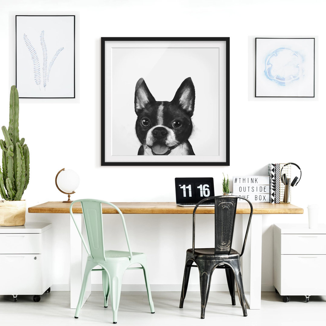 Gerahmtes Poster Illustration Hund Boston Schwarz WeiÃŸ