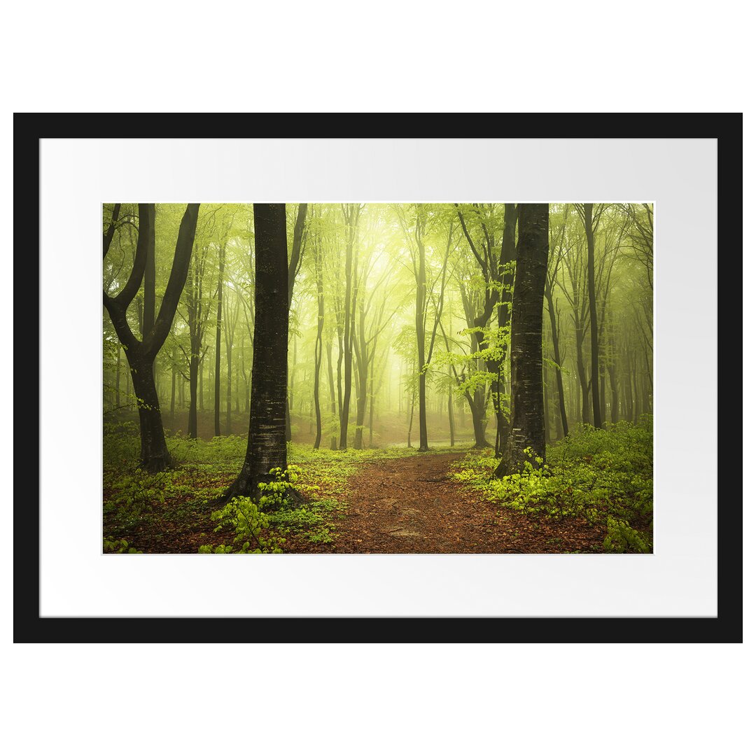 Gerahmtes Poster Weg im Wald