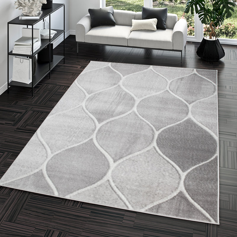 Tapis gris Brouwer, Rectangle 2 pi x 3 pi 3 po