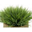 Gazon artificiel 8 po dans un panier-1941322100-1972723837-1972723833