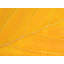 Autumn Leaf by Philippe Monthoux-65859049-132439281