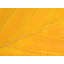 Autumn Leaf by Philippe Monthoux-65859049-65796526