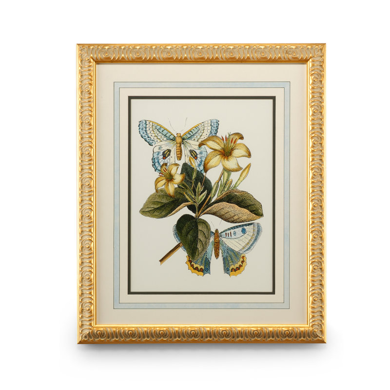 Butterfly Oasis IV Print