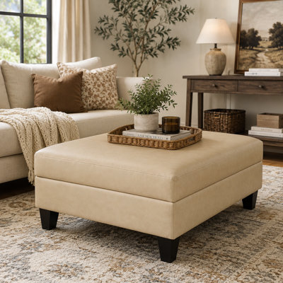 Table basse avec rangement et repose-pieds