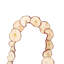 Natural Botanicals 10ft Natural and Dried Sliced Apple Garland.