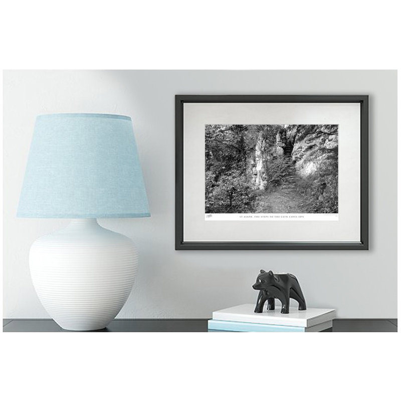 St Asaph, The Steps To The Cefn Caves 1891 by Francis Frith - Single Picture Frame Print, 40cm H x 50cm W x 2.3cm D