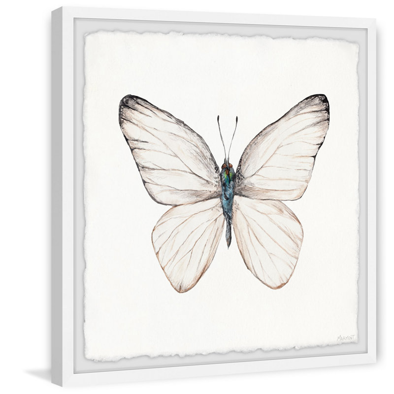 Soft Wings - Single Picture Frame Painting, 45cm H x 45cm W x 3.81cm D