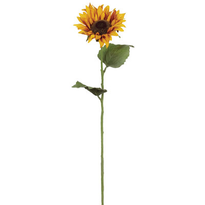 Tige de tournesol Kanode