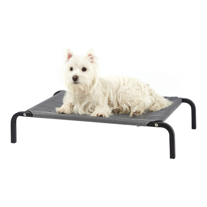 Ashly Coated Steenless Steel Pet Bed, Small (75cm W x 42cm D x 15cm H)