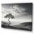 Wrapped Canvas