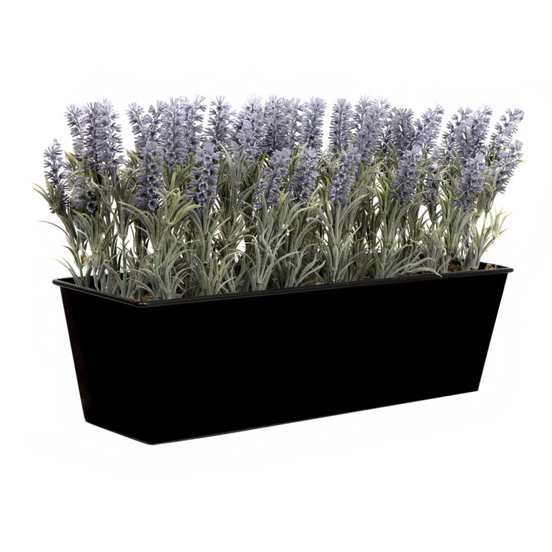 Lavender in Rustic Tin Planter (Window Box), 50.5cm H x 17.8cm W x 18.1cm D, Black