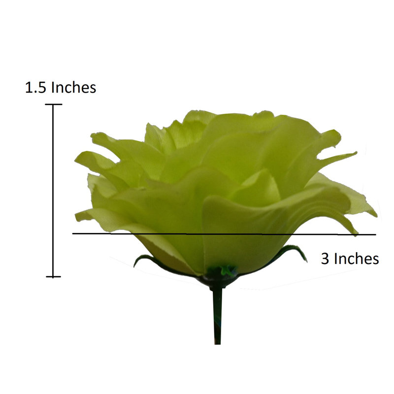 18 fleurs roses en pleine floraison, Kiwi/lavande
