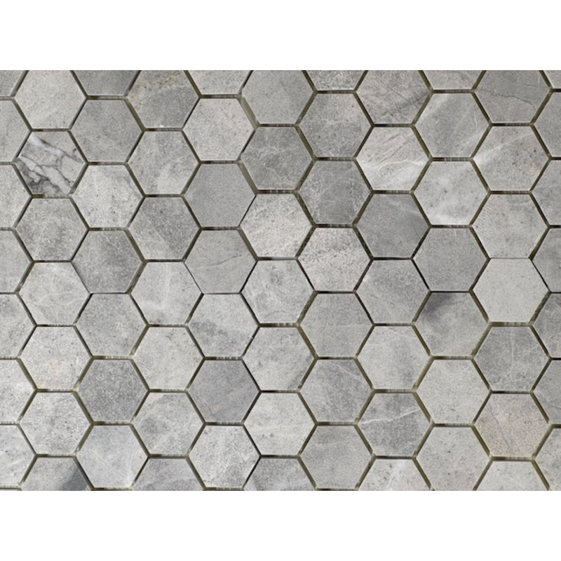 Polished Blue De Savoie 2" Hexagon, Gray
