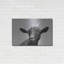 «Lake Tobias Goat I» par Lori Deiter-1460006265