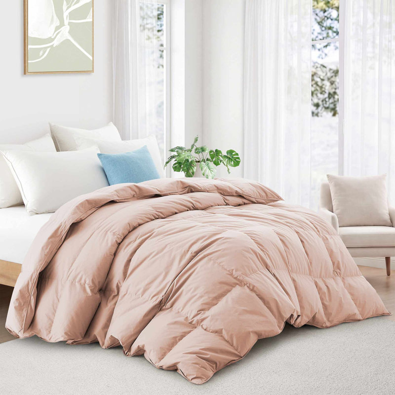 All Season Goose Feather and Down Comforter Cotton Duvet Insert with Premium 100% Cotton Cover, Pink, Cal King
