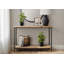 Plante Martinez 14 po