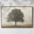 Noyer