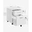 54.4cm Wide 2 -Drawer Mobile File Cabinet