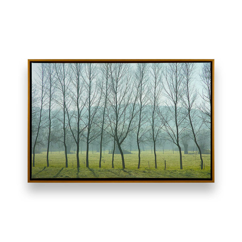 «Misty Normandy Meadow» sur toile par Caroyl La Barge, Cadre flottant or poli, H 34 po x l 50 po x P 1,75 po