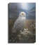  «Snowy Owl» par Ann Klee, art mural en métal, 16 po x 24 po-1736588598