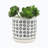 Imany Ceramic Pot Planter